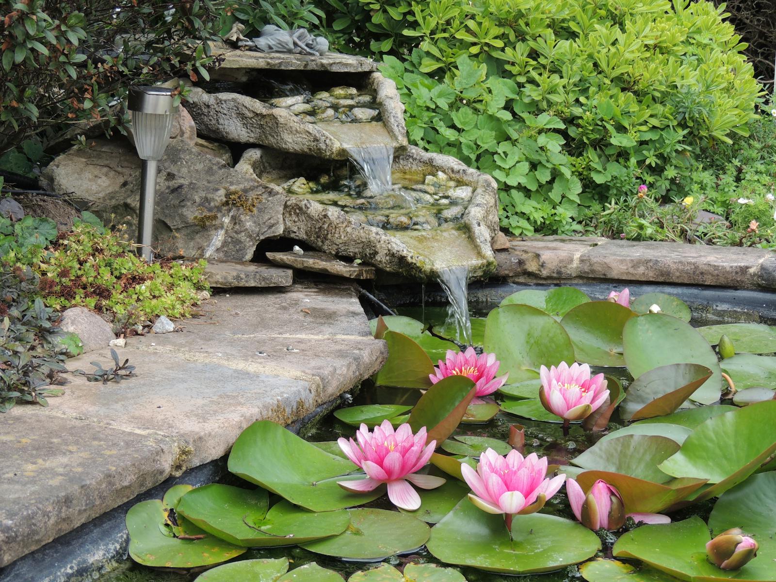 Astonia Landscaping project