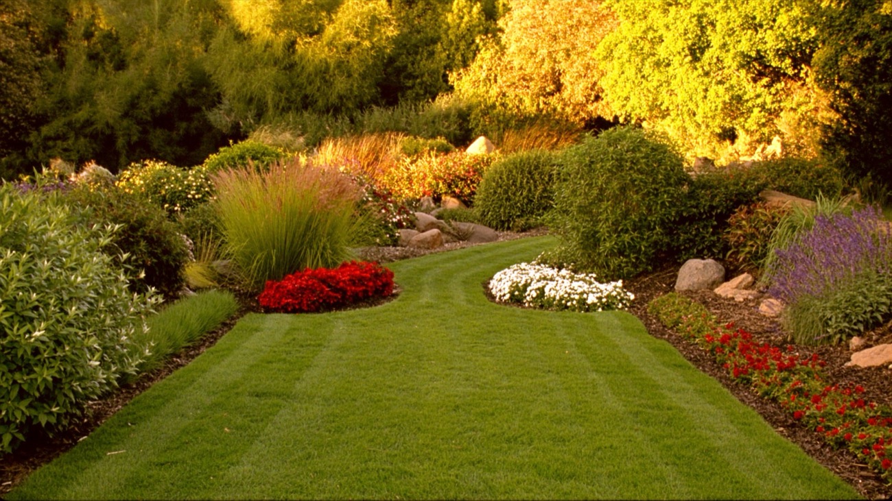 Lush softscape garden planting
